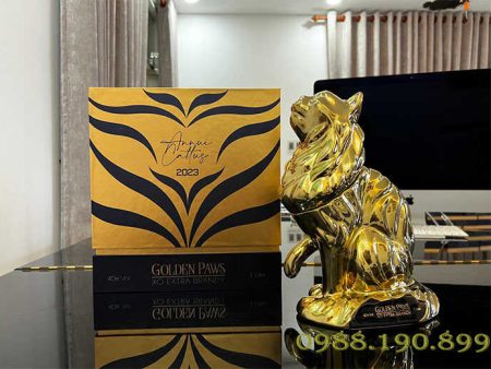 Mèo bay golden Paws XO Extra Brandy