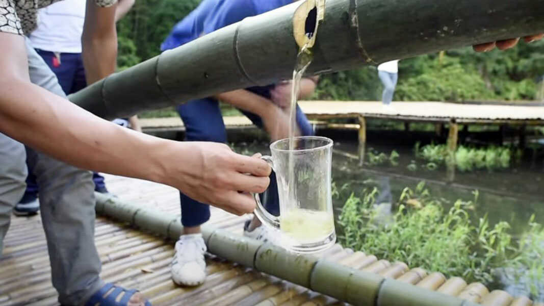 Rượu ống tre mua ở đâu